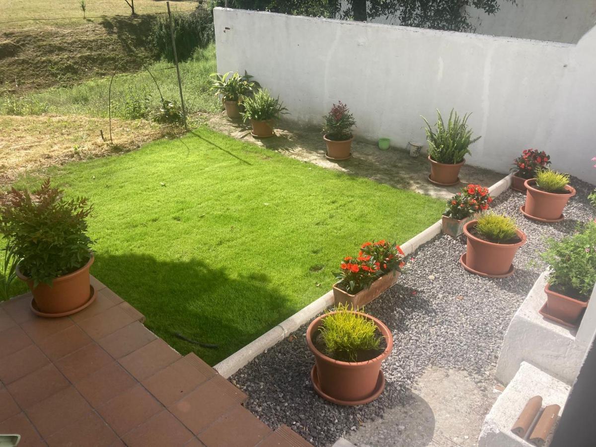 Apartamento Con Jardin En El Oviedo Antiguo Eksteriør billede